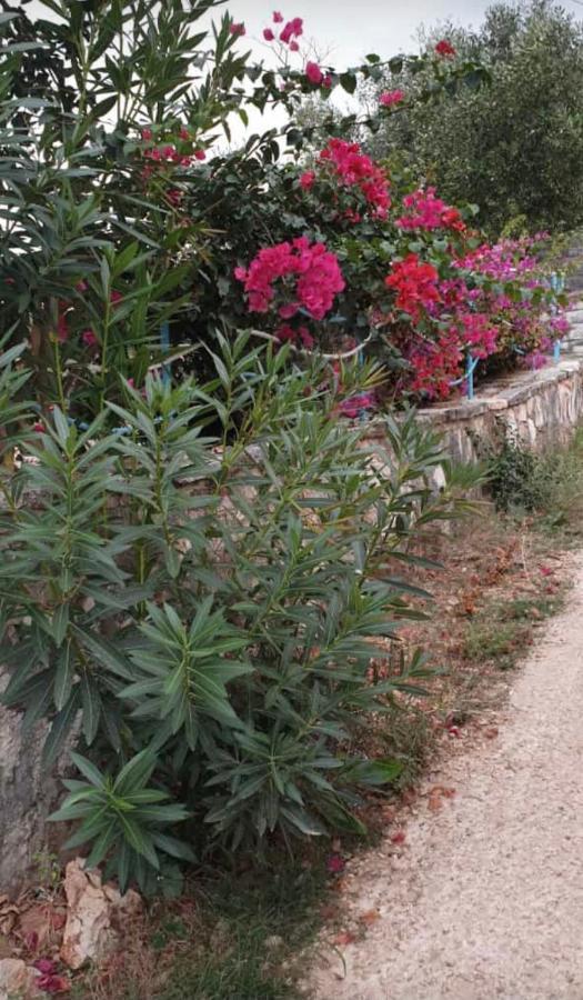Villa Lefter Sarandë Exteriör bild